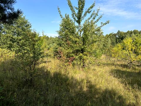 ділянка за адресою 