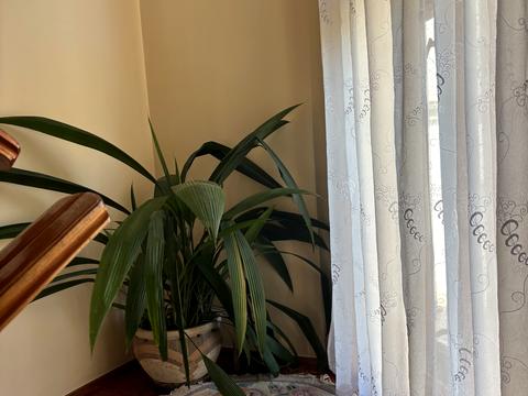 будинок за адресою Ужгород, Тисянська вул.
