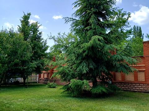 будинок за адресою Уютная