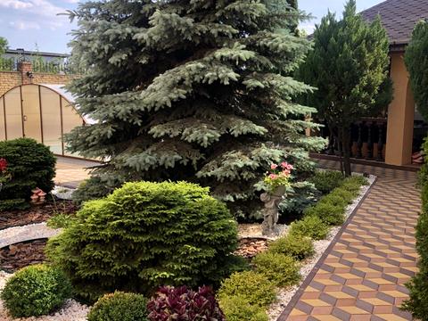 дом по адресу Лінія 6, 14