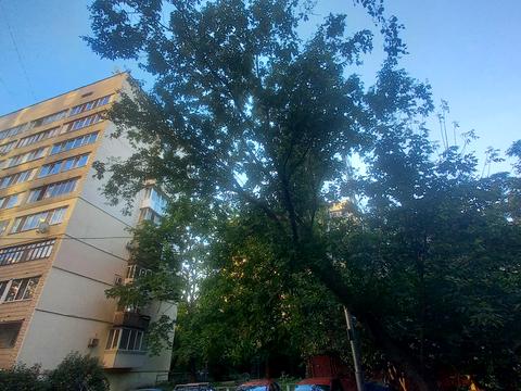 квартира за адресою Чеська вул., 4