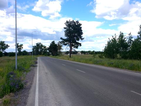 участок по адресу Лісова, 13
