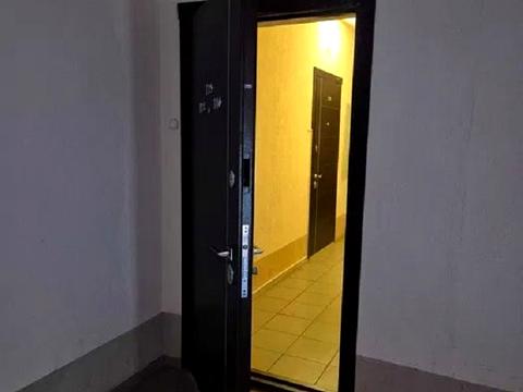 квартира по адресу Перспективная ул., 9