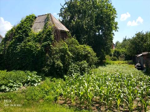 ділянка за адресою Центральна вул., 1