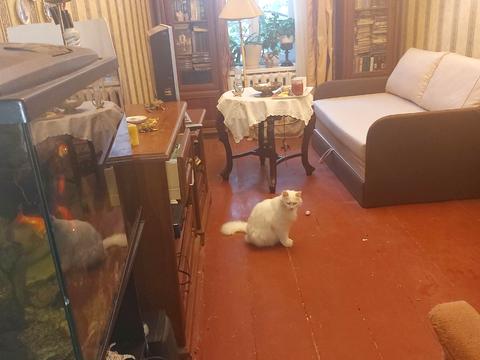 квартира за адресою Одеса, Олексія Маркевича вул. (Князівська), 13