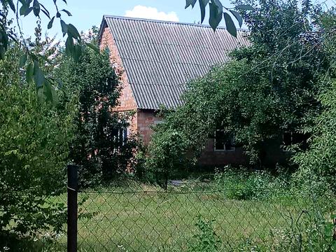 дом по адресу Миру, 3