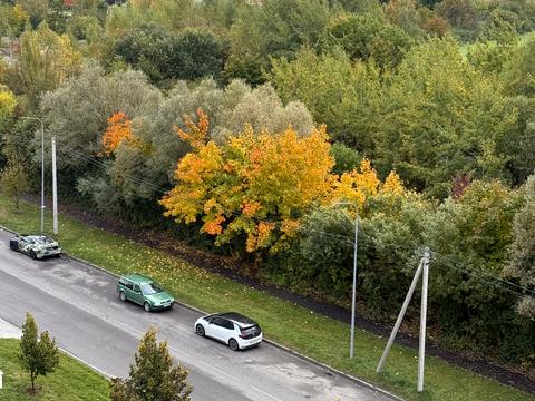 квартира за адресою Карла Мікльоша вул., 11