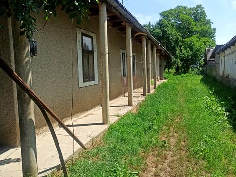 ділянка за адресою с. Коритняни, Духновича