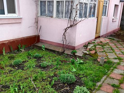 дом по адресу Озёрная ул.