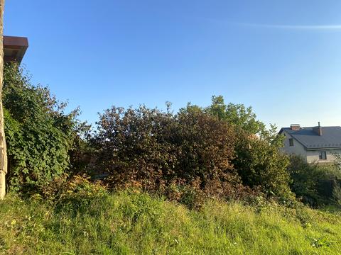 участок по адресу Кавказская ул.