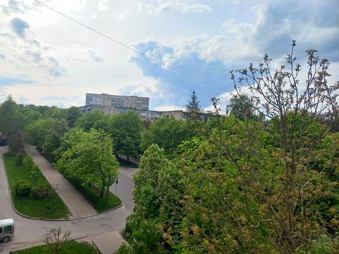 квартира за адресою Винниченка вул. (Карпенка), 6