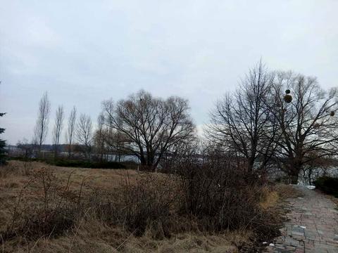 ділянка за адресою Липська вул., 33