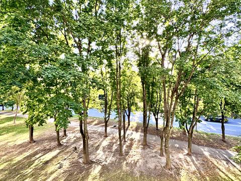 квартира за адресою Олега Мудрака вул. (Генерала Наумова), 37