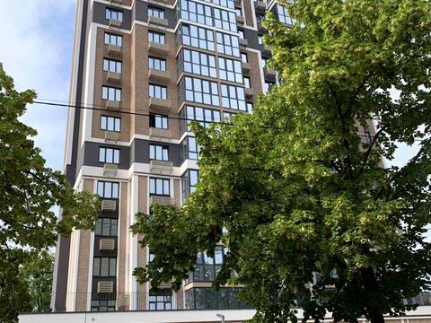 комерційна за адресою Васильківська вул., 37