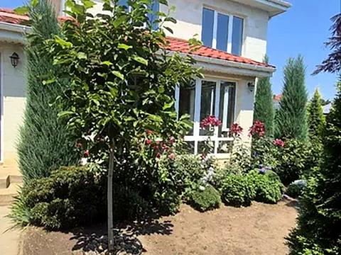 будинок за адресою с-ще. Ліски, Південна вул.