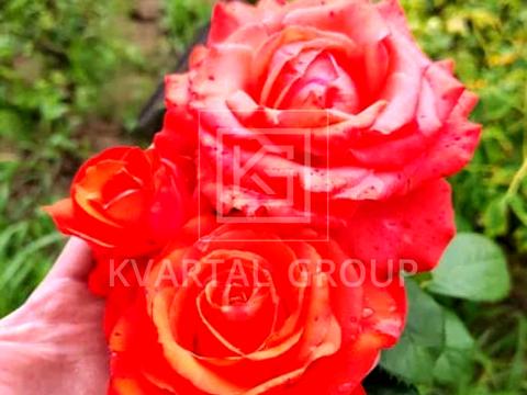 будинок за адресою Незалежності вул., 4