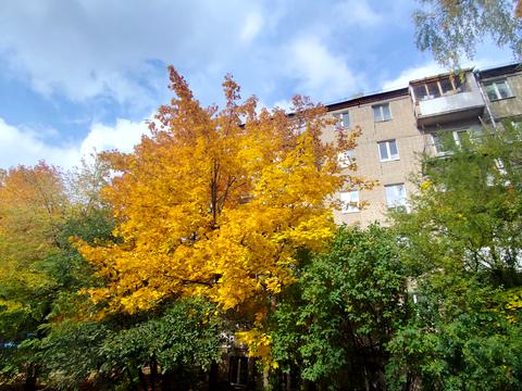 квартира за адресою Олександра Олеся вул., 15