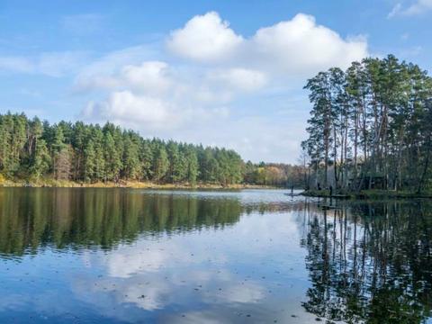 участок по адресу Лесная