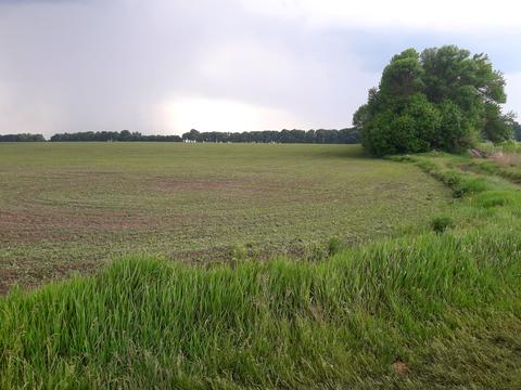 ділянка за адресою Вінниця, 