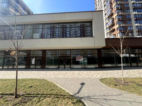 комерційна за адресою Олександра Олеся вул., 2-А