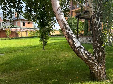 дом по адресу Березова, 18