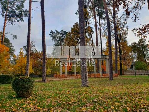 участок по адресу Пушкінська