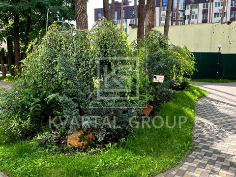 квартира по адресу 11-я линия ул., 4