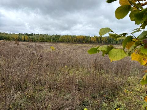 участок по адресу 