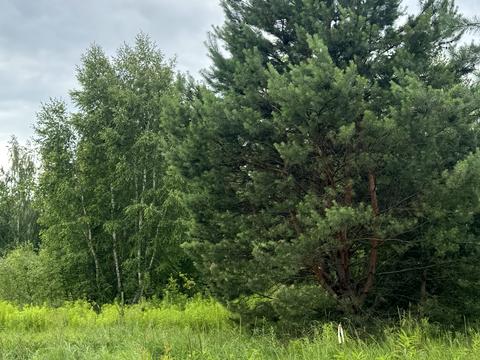 участок по адресу Луговий