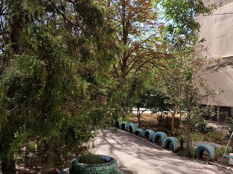 квартира по адресу Семена Палия, 92
