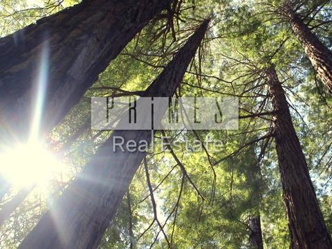 дом по адресу Лобановского ул.