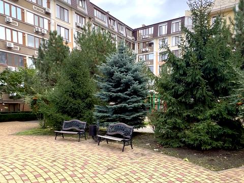 квартира по адресу Добровольцев ул. (Маршала Говорова), 10в