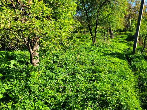 ділянка за адресою 