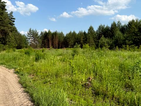 ділянка за адресою 