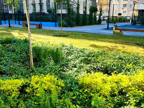 квартира за адресою Виноградна вул., 9
