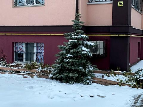 комерційна за адресою Висока вул., 10-А