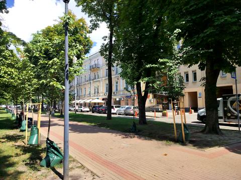 комерційна за адресою Шовковична вул., 7