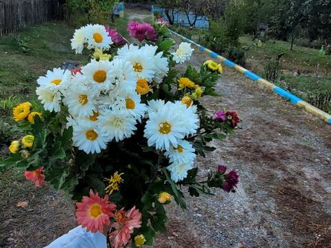 будинок за адресою с. Каменка, Хутірська, 7