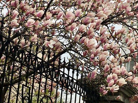 квартира по адресу Саксаганского ул., 67