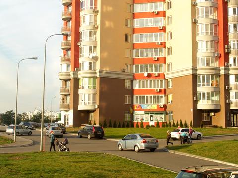 комерційна за адресою Композитора Мейтуса вул., 4-А