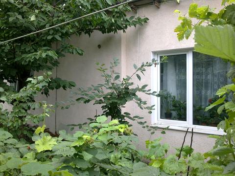 квартира за адресою Дачна вул., 9