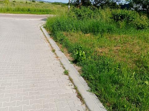участок по адресу Грушевського, 1