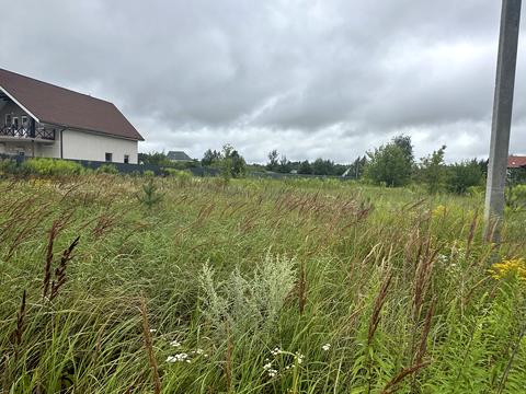 ділянка за адресою вул.Лісова