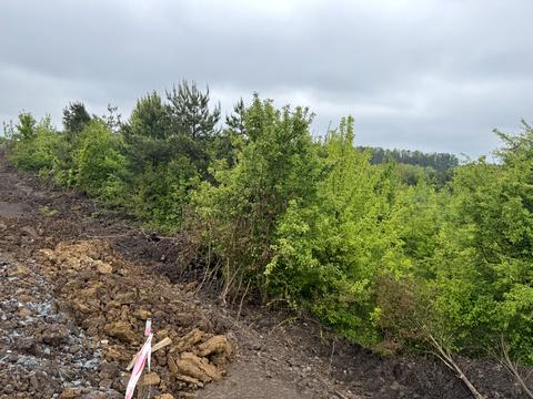 ділянка за адресою 