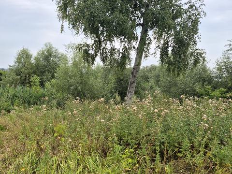 участок по адресу Гагарина ул.