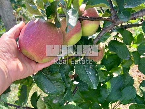 будинок за адресою Світильня