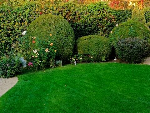 будинок за адресою Дачна вул., 8а