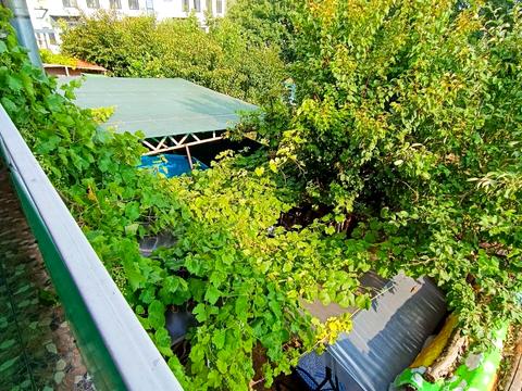 будинок за адресою Олександрівська, 38