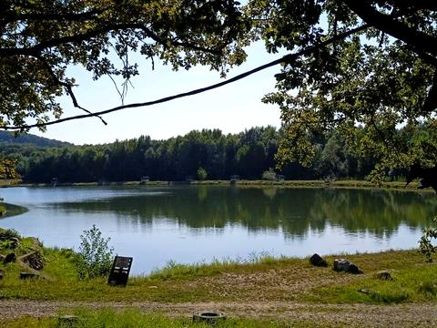 дом по адресу Дачний масив