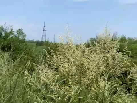 ділянка за адресою с. Косино, 